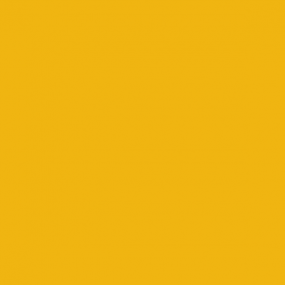 RAL 1004 Golden Yellow