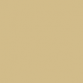 RAL 1001 Beige